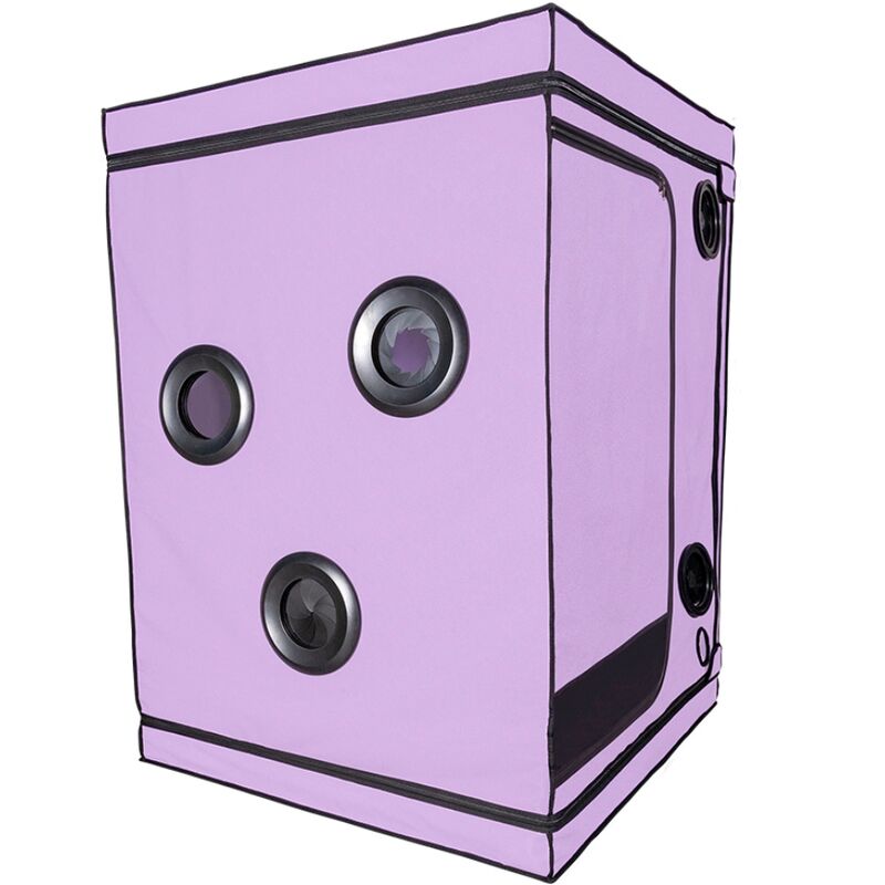 SECRET DOME Kink Club Scandale Purple кабина за BDSM